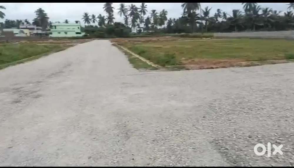 భోగాపురం దగ్గర ఇల్లు కట్టుకునే స్థలాలు