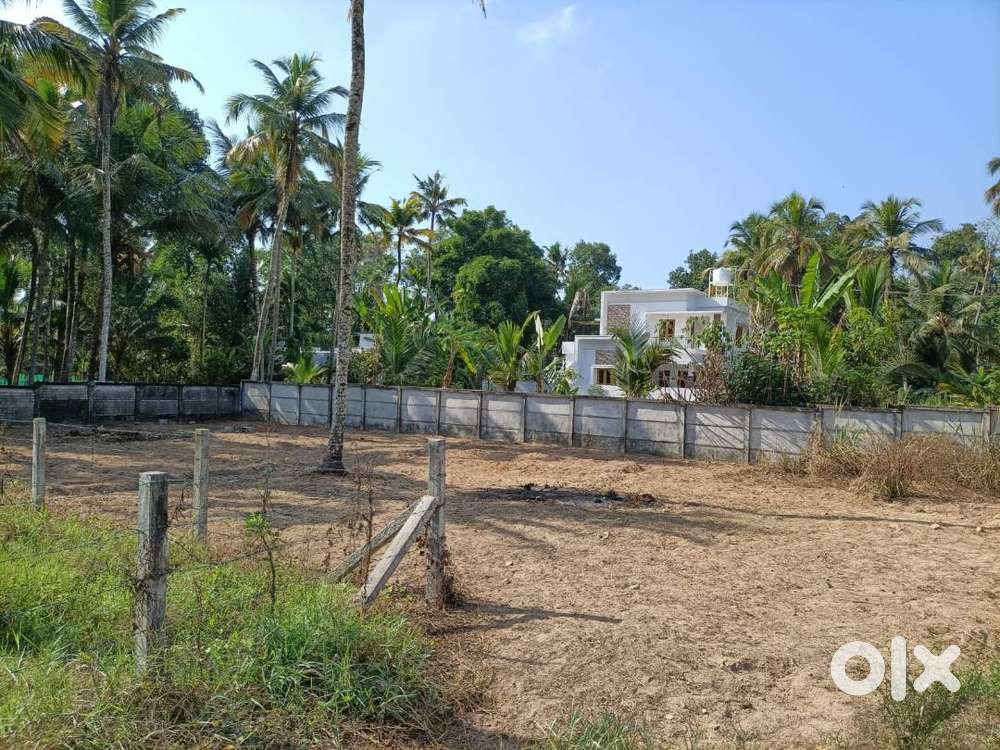 Plot near Mullikulangara temple. 200m from Bus Stop Village Office