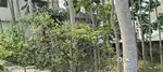 Plot for sale in panhas
