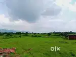 Luxury Cntfree plot available at near Vijay garden baridih,jamshedpur
