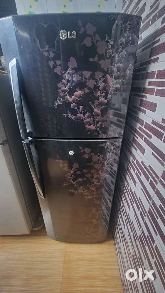 Lg double door refrigerator