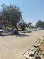 PLOT FOR SALE COVERD CAMPUS