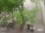 One Room on rent