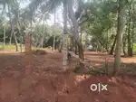 6 சென்ட் வீட்டு மனை விற்பனைக்கு பழவிளை