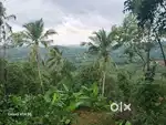 For sale my property
