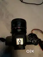 cannon m50