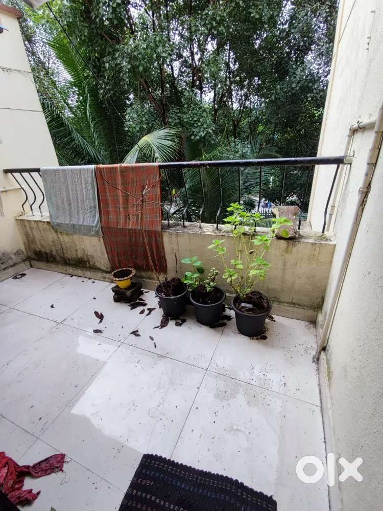 4 people living ,need 1 male roomamte