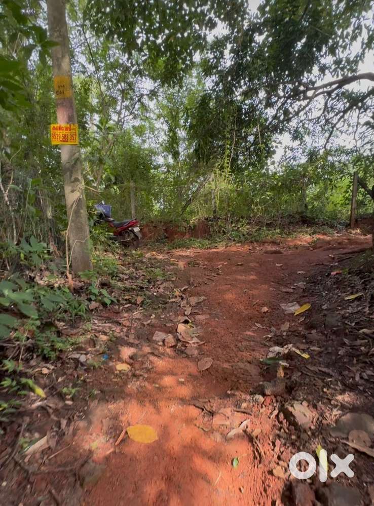 Property for Sale - Cherukattupulam, Vaniamkulam (Near Mannanur)