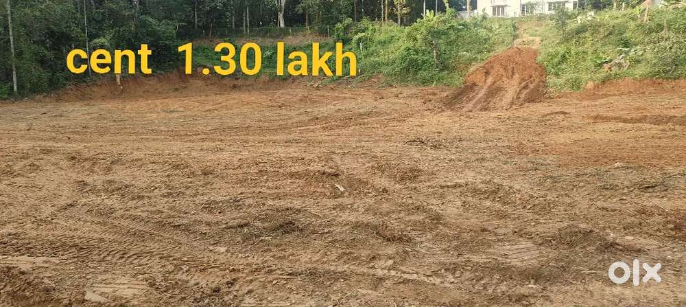10 cent house plot sulthan bathery