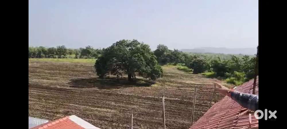 Tranquil living  naturally farm land