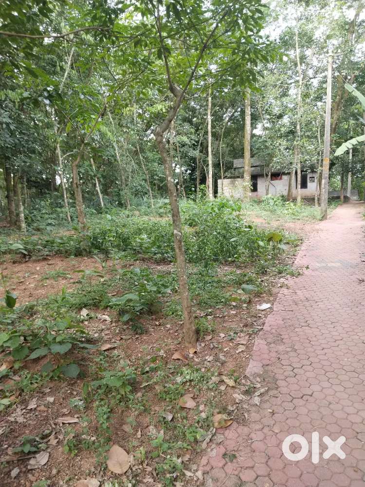 7.5 House plot for sale , kunnathukal, per cent 1 L