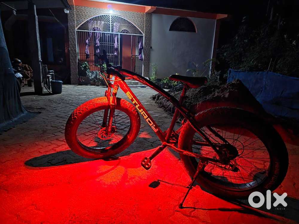 Sturdy fat bike