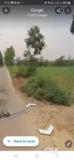 5.25  bigha jameen Kali Road /// sc cast ki hai jameen 10 lakh₹ bhigha
