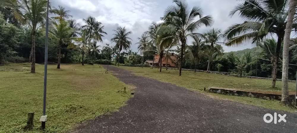 Eco friendly Plot near town