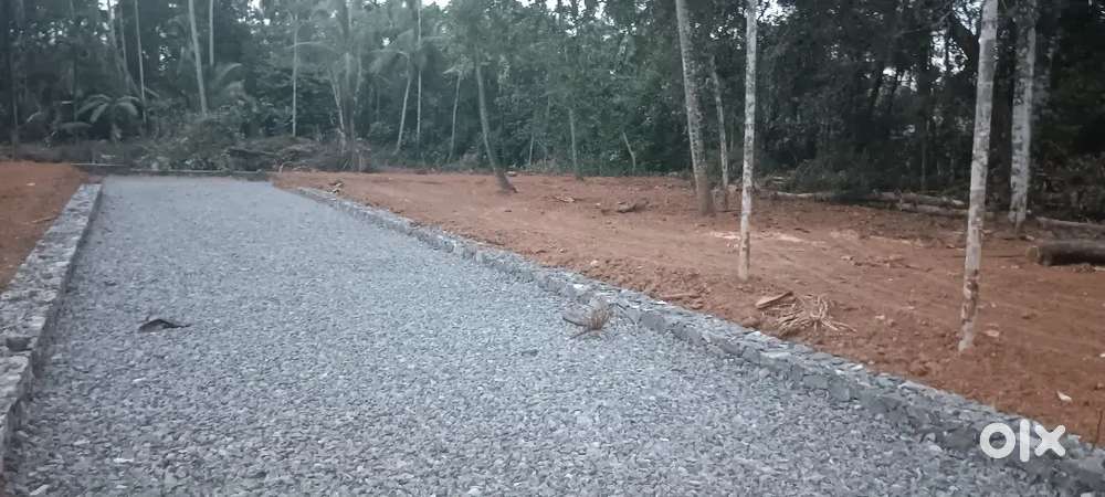 2 km അങ്കമാലി നാഷണൽ ഹൈവെ  4 സെൻ്റ് മുതൽ പുരയിടം