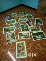 Water colour paintings