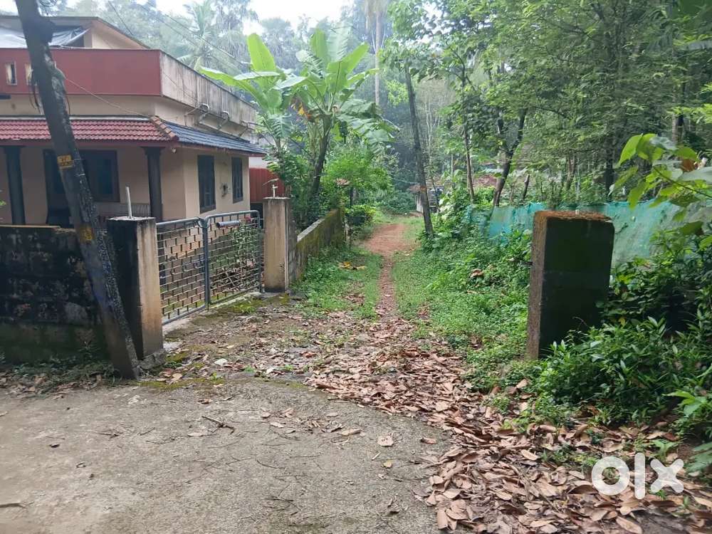 Plot for sale