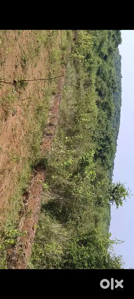 Plot sale chandaka bbsr