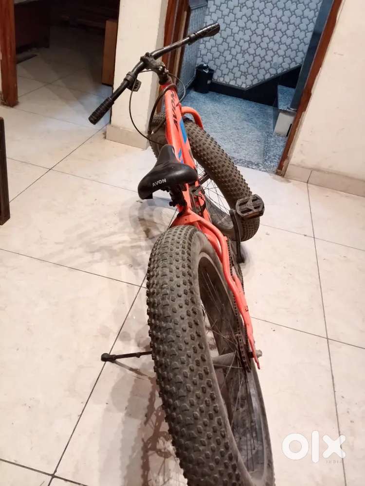 Fat Tyre cycle