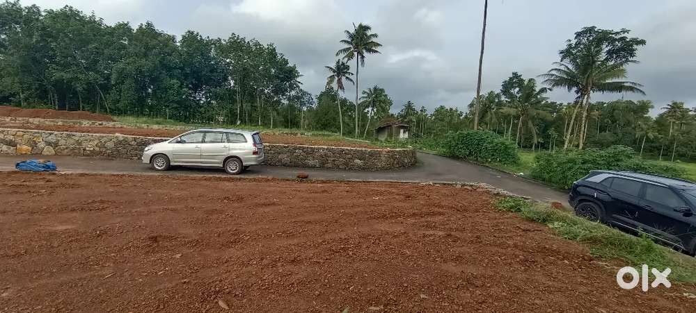ANGAMALY TOWN NEAR BY 5,6,8, 10 CENT PLOTS AVAILABLE
