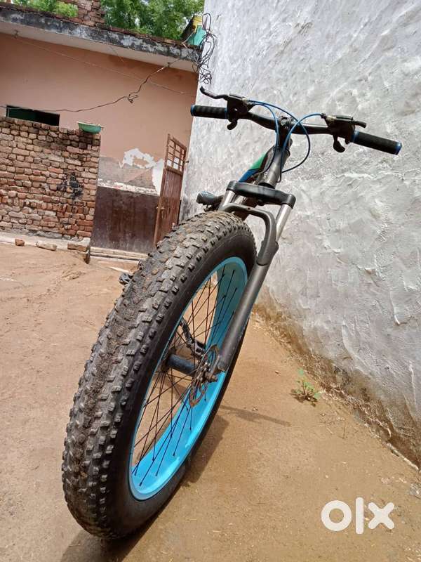 Bicycle (Pet bike)