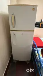 LG Double Door Fridge