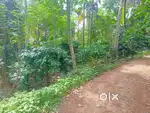 പൂതാടി പഞ്ചായത്തിൽ 4.5 ഏക്കർ സ്ഥലം കുറഞ്ഞ വിലയ്ക്ക്