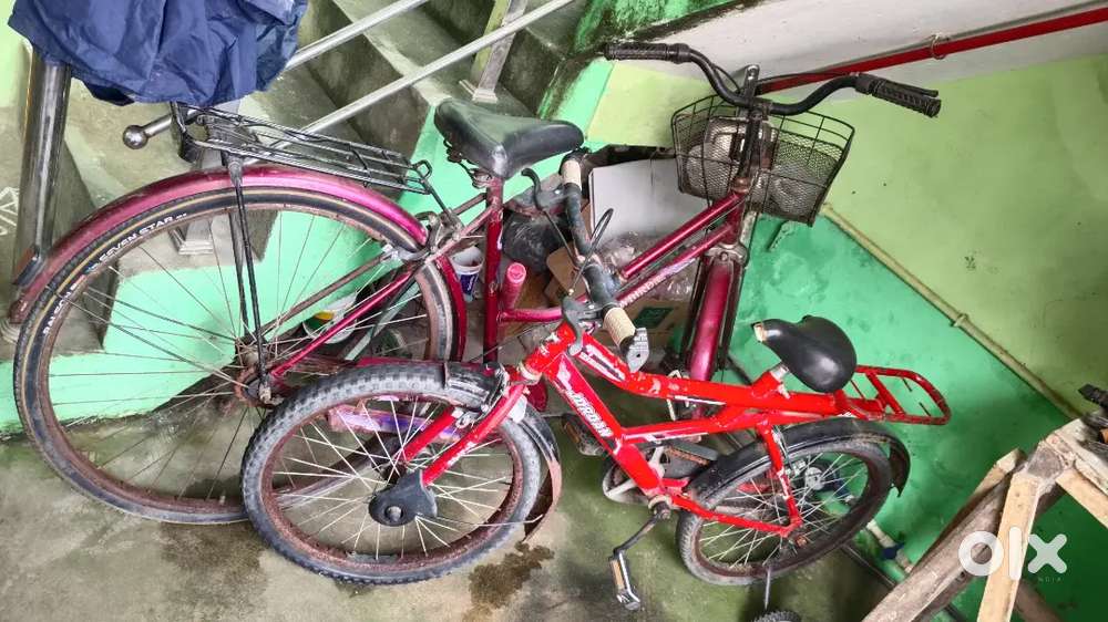 Aquarium and cycle