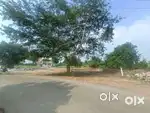 20.5 cent - 1st land from road - alamarathupatti