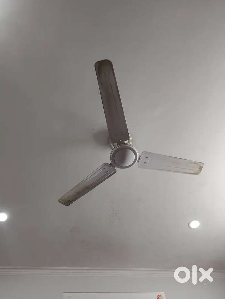 Pilibhit bypass 100gaj Aashiyana coloni me plot available hai shuru me