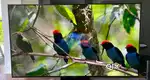 43 Inch Led Tv Best Price With Warranty 4k Experience With