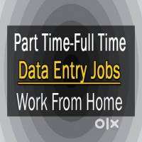 Data Entry Project For Work From Home-TYPING AND Form Filling Job