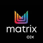 Dealer Sales Executive for Matrix