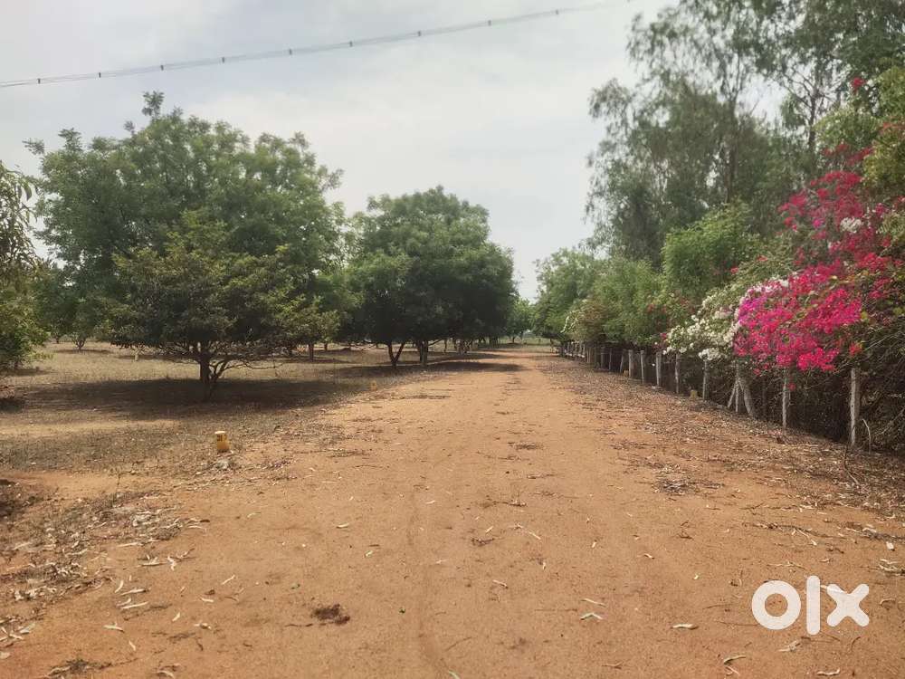 உடனடி விற்பனைக்கு. திருச்சியில் அற்புதமான மனைப்பிரிவுகள்