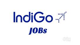 APPLY AIRPORT LARGEST JOB VACANCY GROUND STAFF TICKET CHECKER & DRIVER