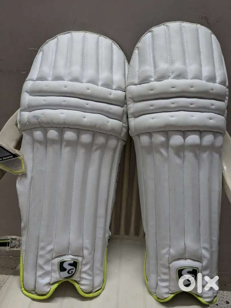 Batting Pads and Batting Gloves