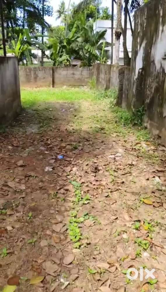 4.5 cent plot, residential area, car acceable