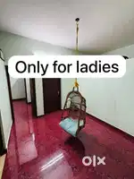 Rooms for rent