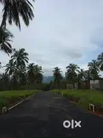 10 cent house plot for sale in Palakkad