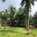 80-1L plot for sales