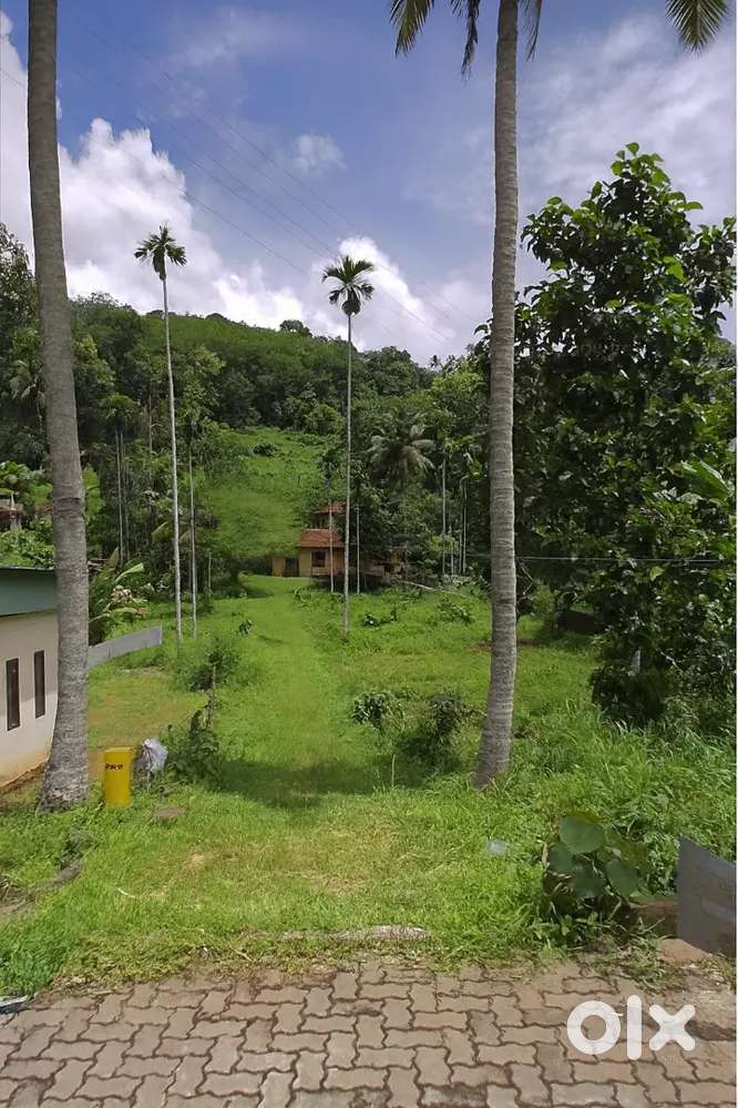 റാന്നി, പത്തനംതിട്ട – 40 സെന്റ് റെസിഡൻഷ്യൽ പ്ലോട്ട് വിൽപ്പനക്ക്