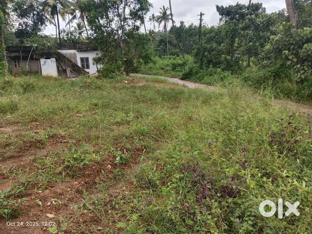 10 സെൻറ് 5 സെൻറ് വില്പനയ്ക്ക് ₹1,00000