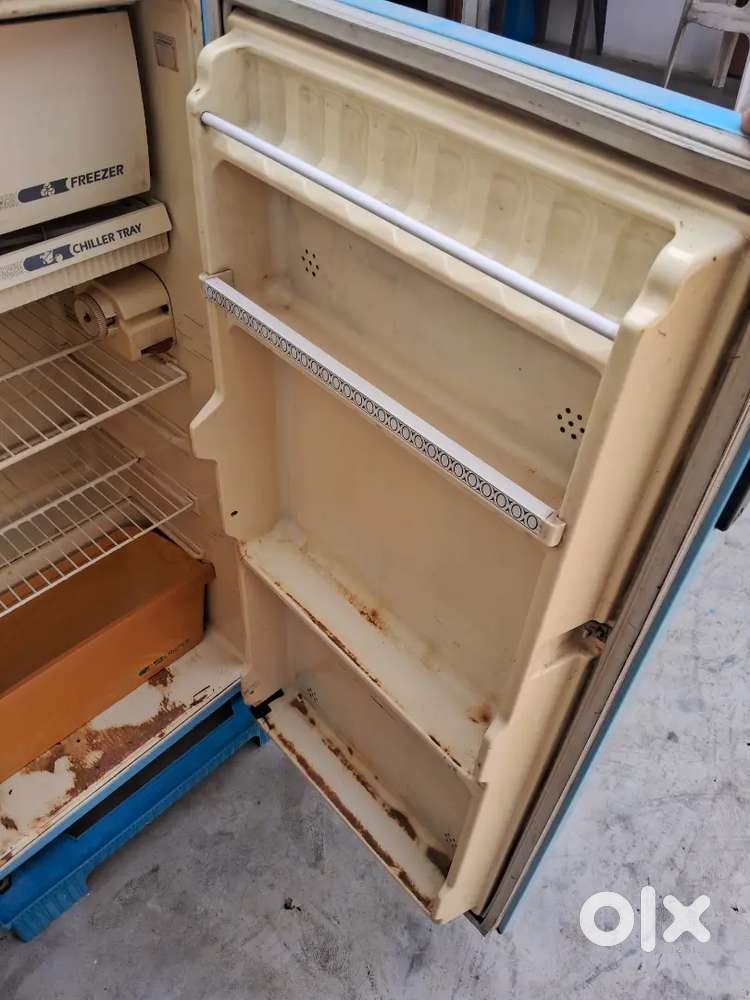 Old frigid