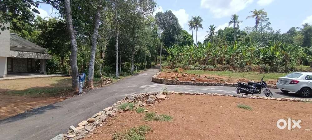 Near Angamaly 4, 5,8,10 cents Residential plots available