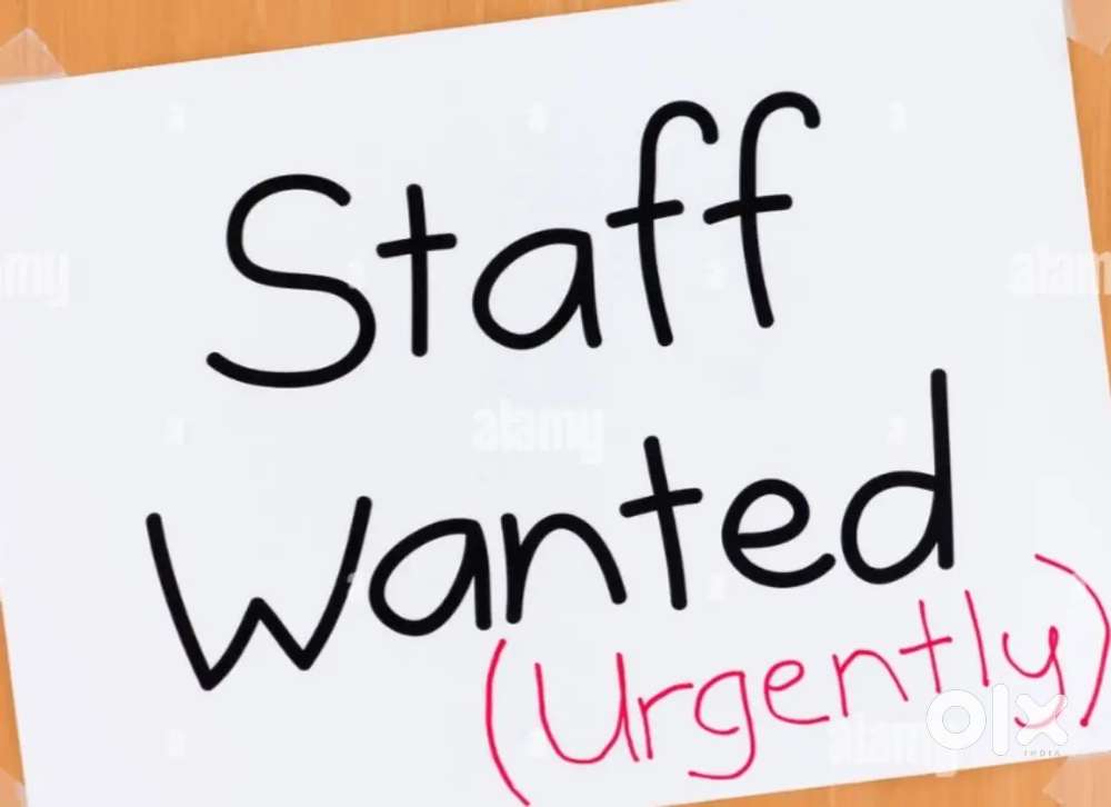 Need a lady staff to cafeteria at mg road..