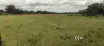 ** 3 Acres land for sale near to bhogapuram airport **