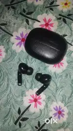 Bards one plus