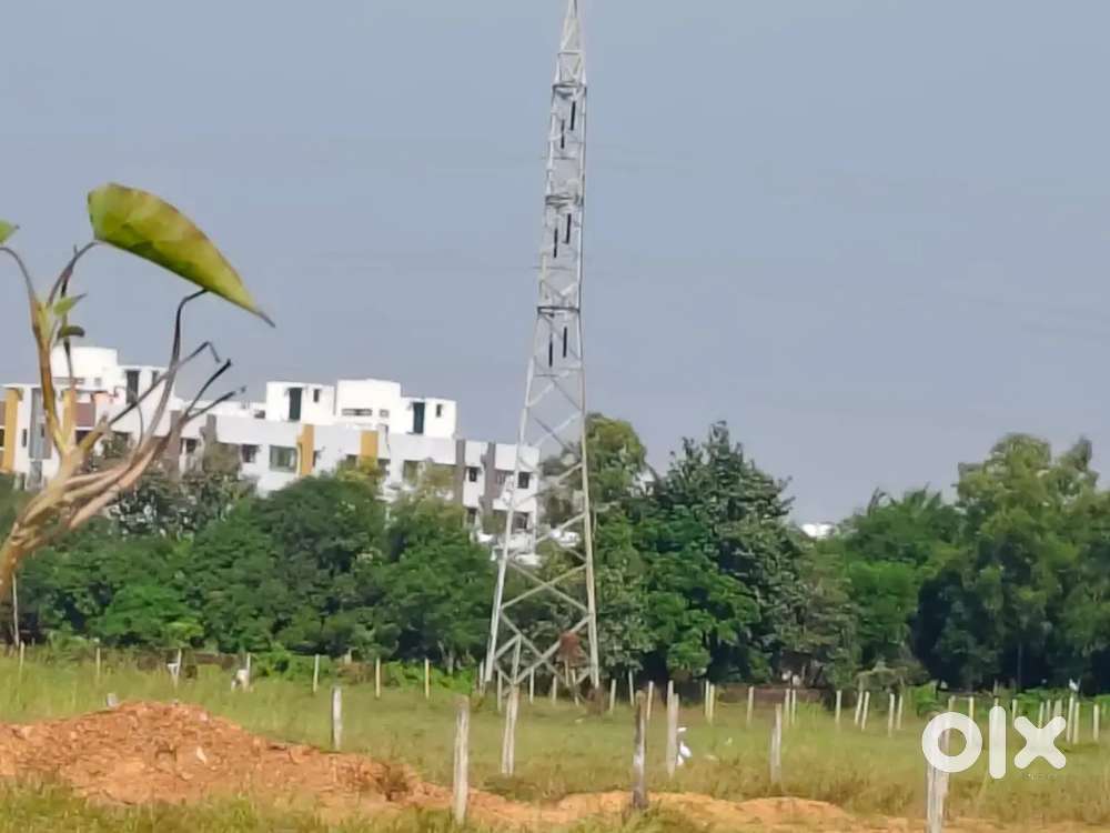 Residential Plots for Sale Near Regalia, 30ft Road With Development