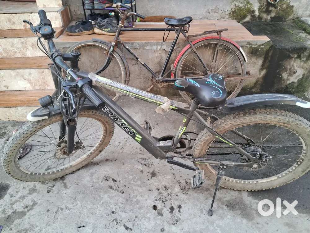 Electric cycle and cruise control