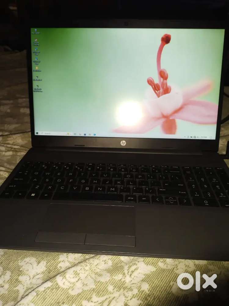 Bought only before 5 days